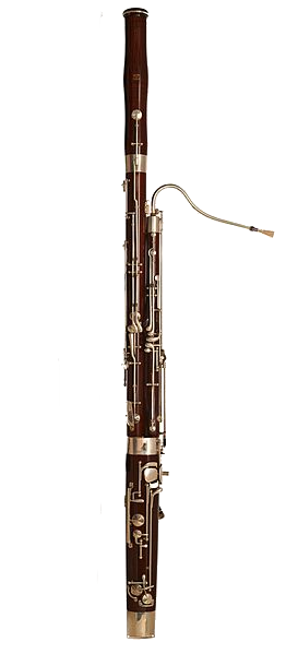 Bassoon