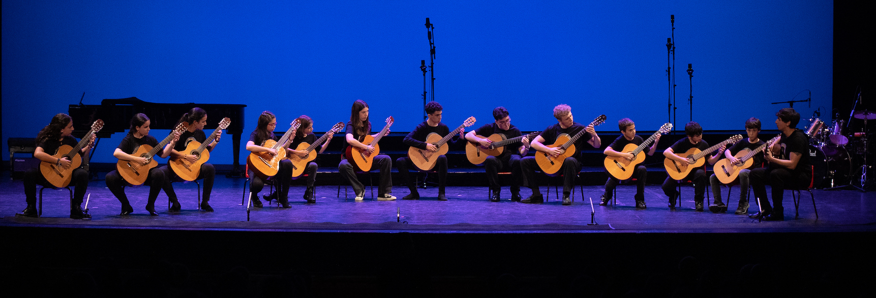 Guitarras